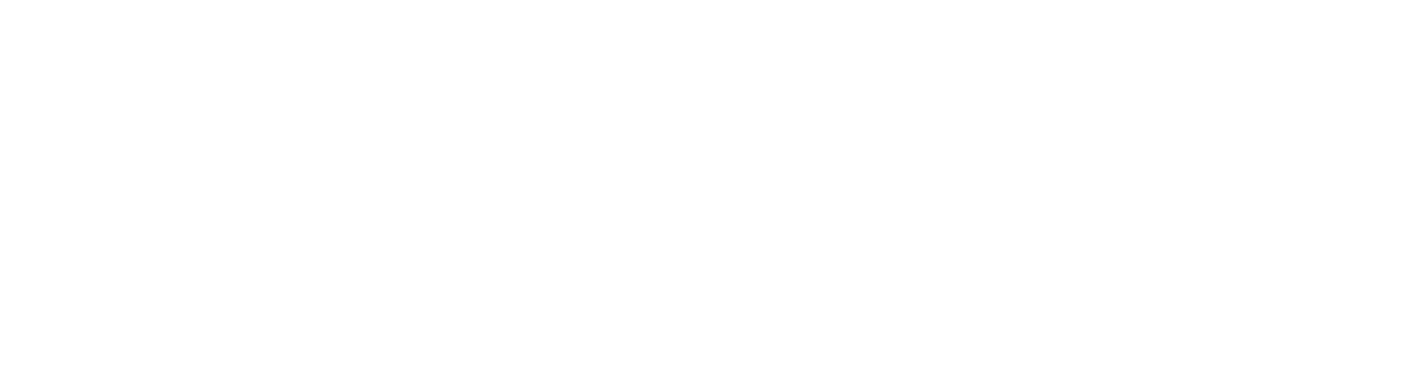 Webidir logosu